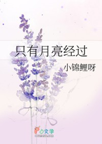 只有月亮经过
